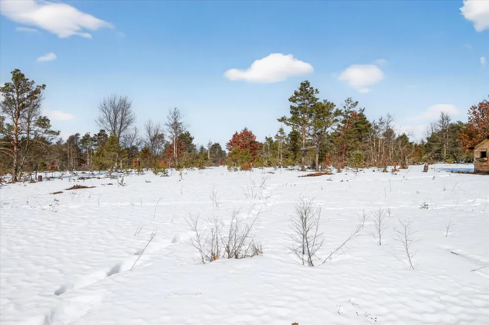 13501 Pioneer Le Roy Township, MI 49655