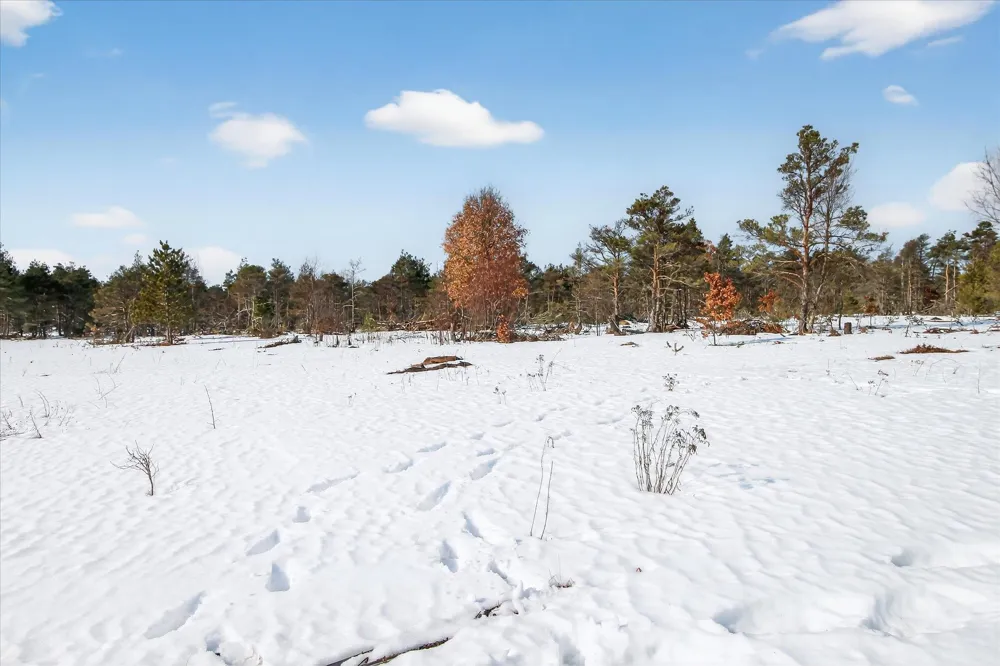 13501 Pioneer Le Roy Township, MI 49655