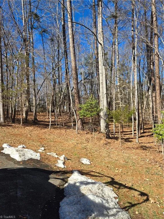 0 Beechwood Drive Asheboro, NC 27205