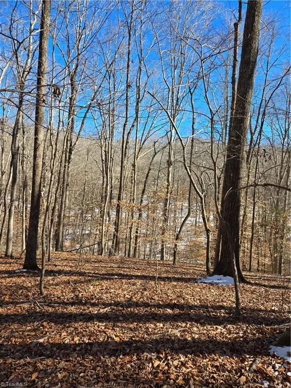 0 Beechwood Drive Asheboro, NC 27205