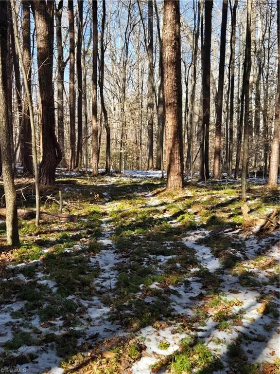 0 Beechwood Drive Asheboro, NC 27205