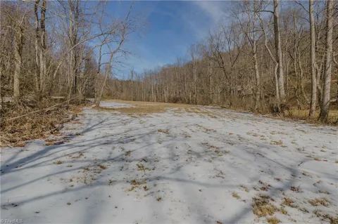 000 Willard Creek
