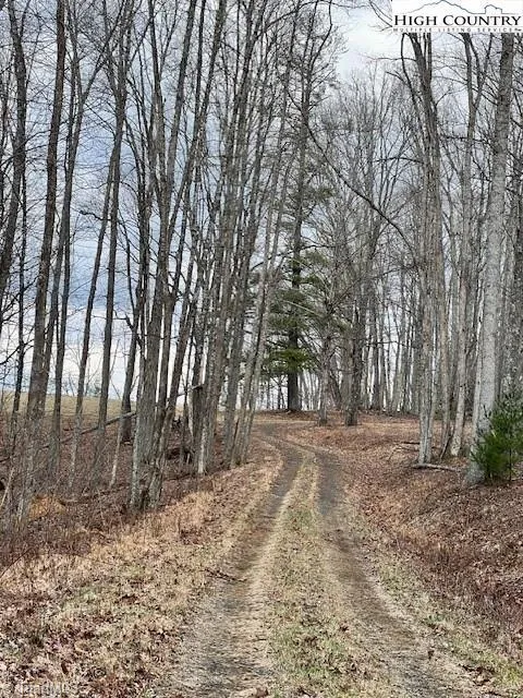 TBD McNeill Road Lansing, NC 28643