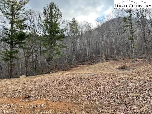 TBD McNeill Road Lansing, NC 28643