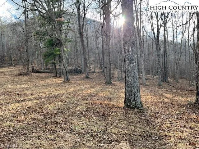 TBD McNeill Road Lansing, NC 28643