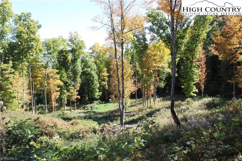 TBD McNeill Road Lansing, NC 28643