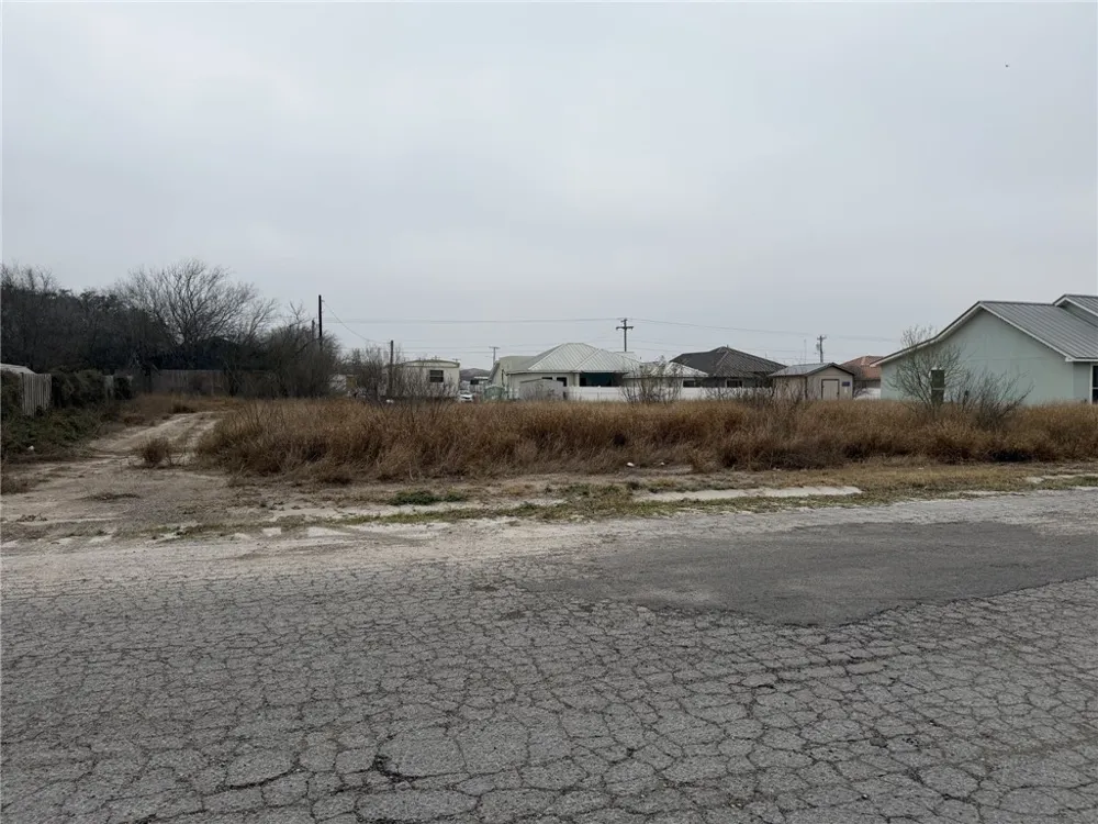 Texas Ave Freer, TX 78357