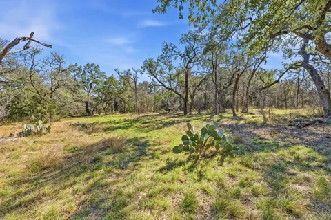 1081 Clark Cove
