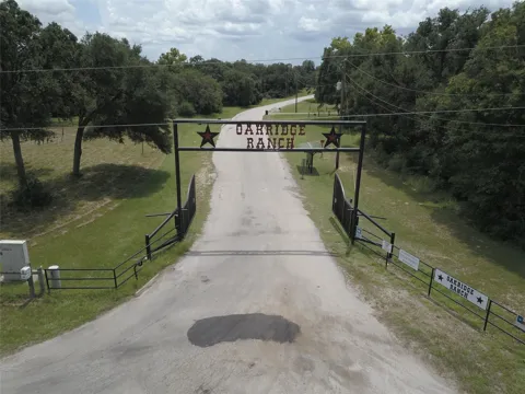 Big Buck Road