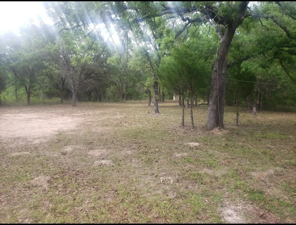 Big Buck Road Weimar, TX 78962
