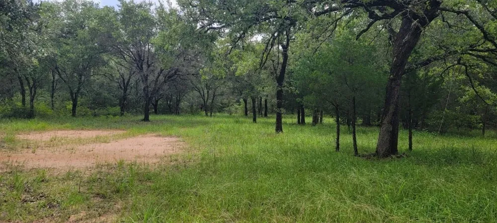 Big Buck Road Weimar, TX 78962