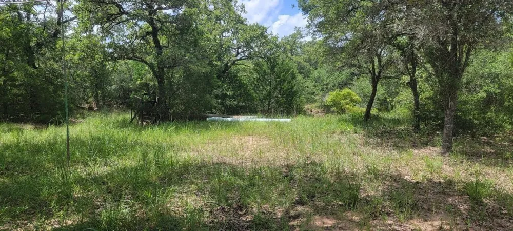 Big Buck Road Weimar, TX 78962