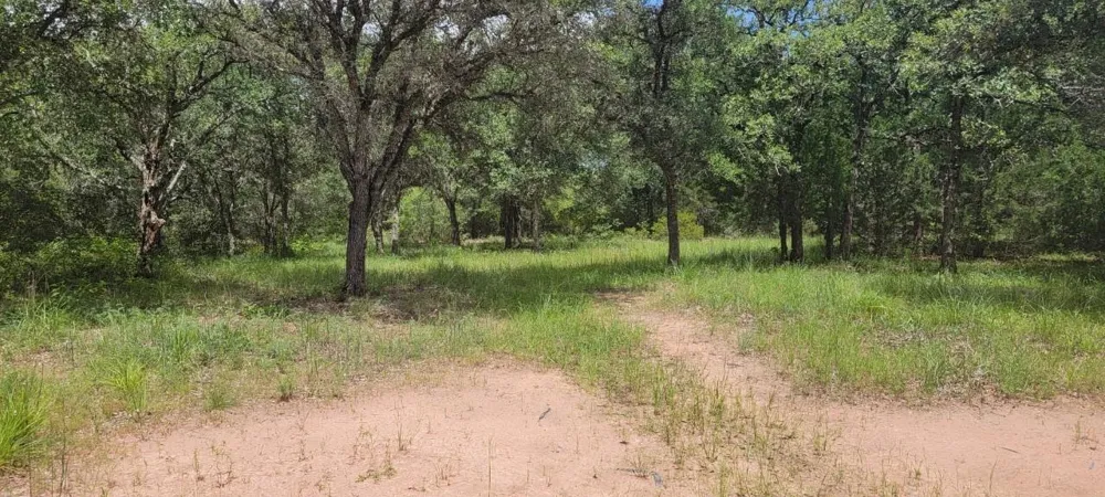 Big Buck Road Weimar, TX 78962