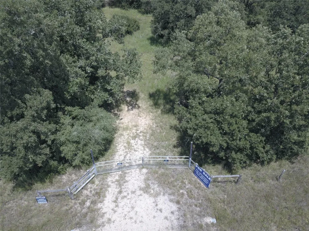 Big Buck Road Weimar, TX 78962
