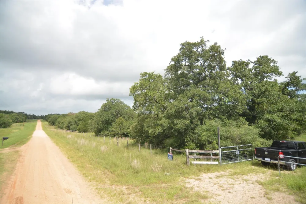 Big Buck Road Weimar, TX 78962