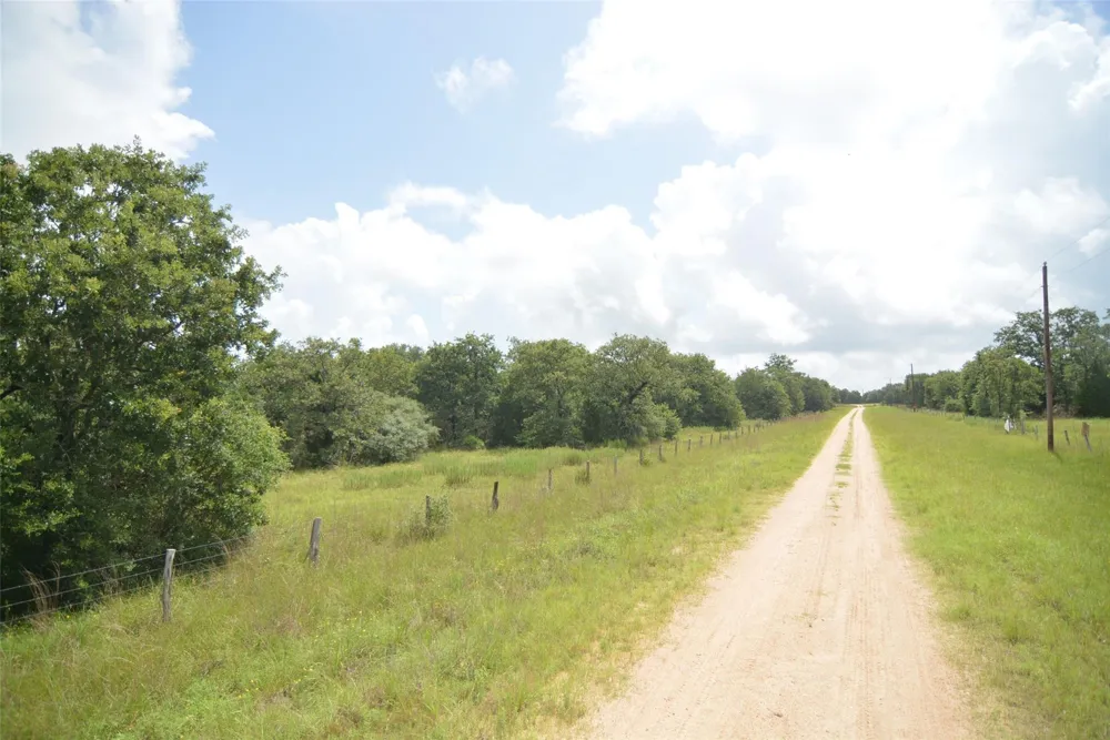 Big Buck Road Weimar, TX 78962