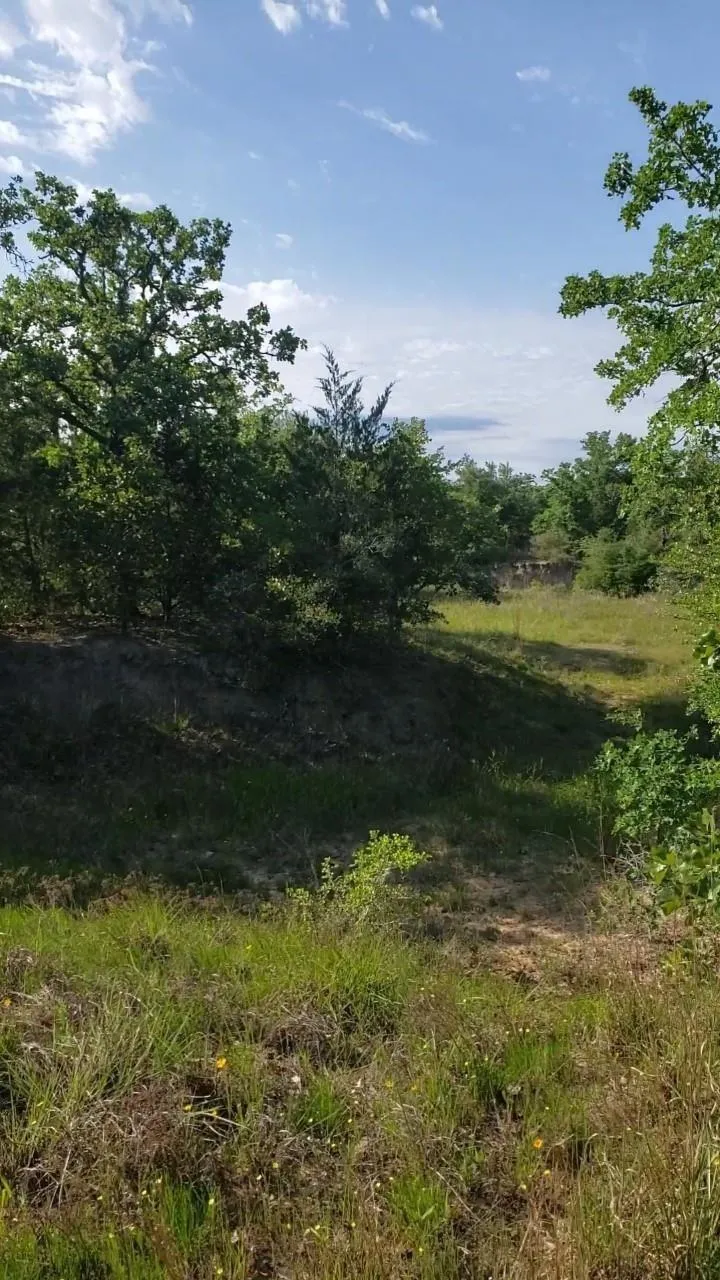 Big Buck Road Weimar, TX 78962