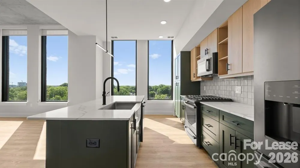 124 E Kingston Avenue #S1 Charlotte, NC 28203