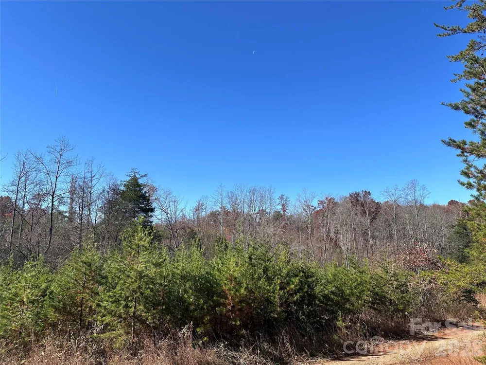 5 Stephens Trail Road Sandy Ridge, NC 27046
