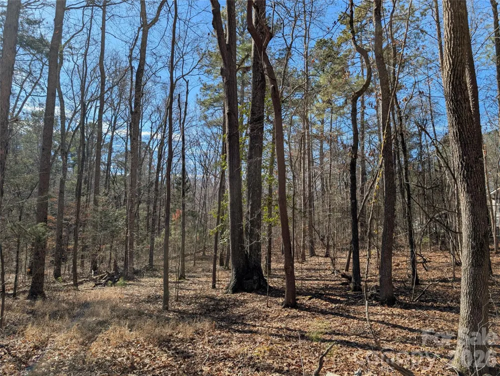 489 & 491 Mimosa Road #3 & 9 Rock Hill, SC 29730