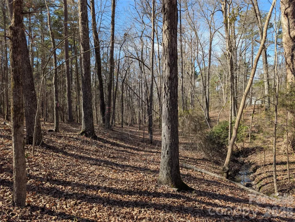 489 & 491 Mimosa Road #3 & 9 Rock Hill, SC 29730