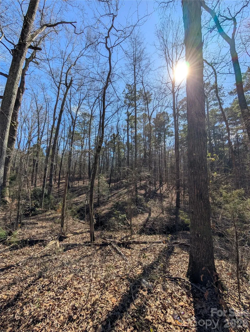 489 & 491 Mimosa Road #3 & 9 Rock Hill, SC 29730