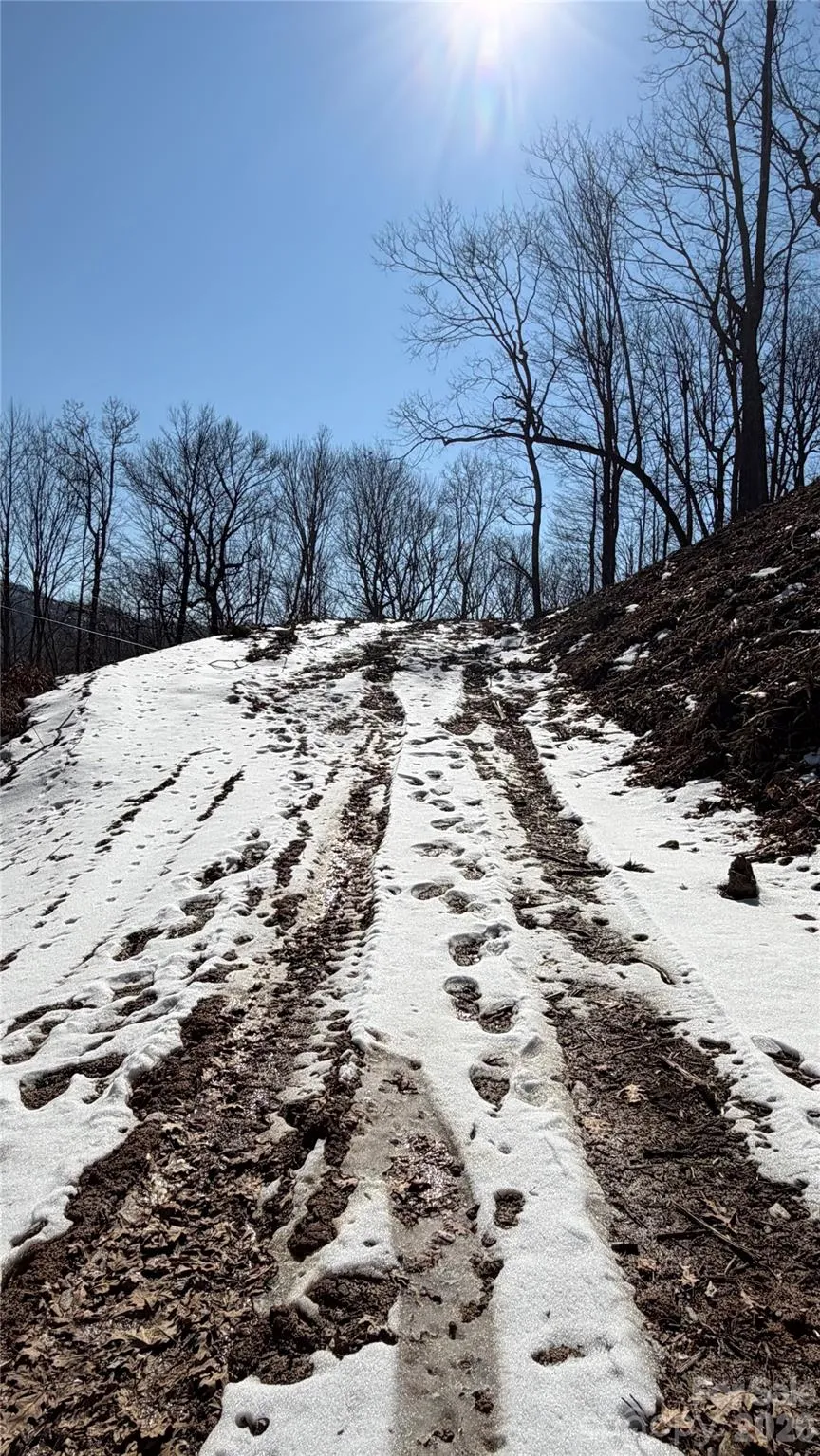 000 Fox Den Road #109 Mars Hill, NC 28754