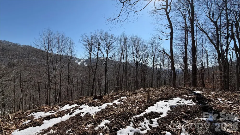 000 Fox Den Road #109 Mars Hill, NC 28754