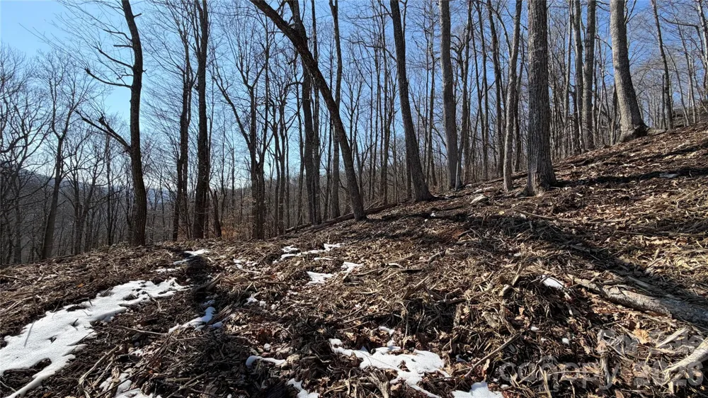 000 Fox Den Road #109 Mars Hill, NC 28754