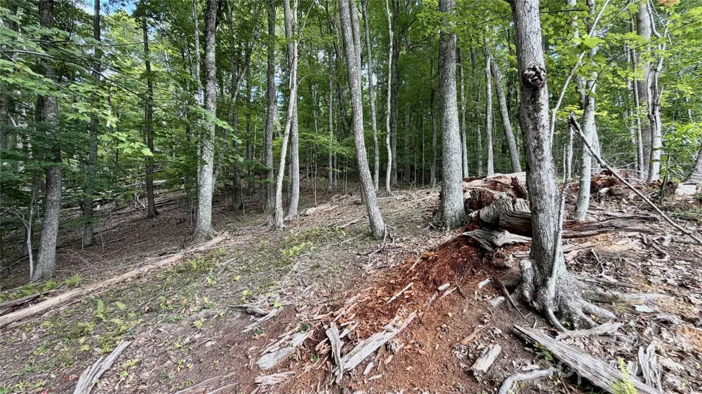 000 Fox Den Road #109 Mars Hill, NC 28754