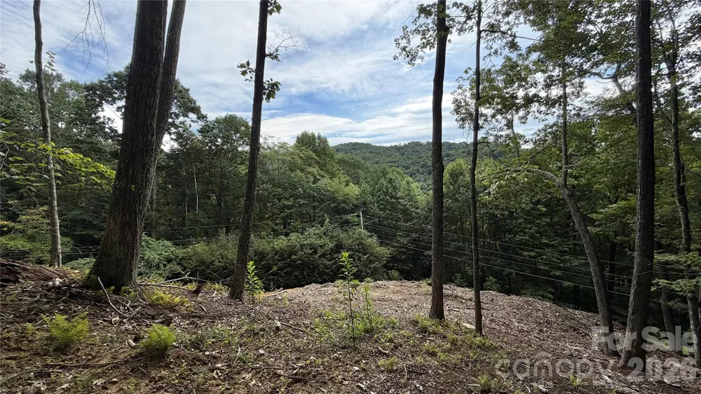 000 Fox Den Road #109 Mars Hill, NC 28754