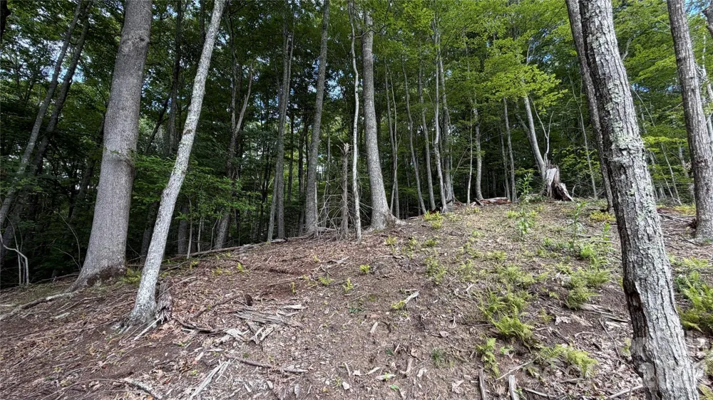 000 Fox Den Road #109 Mars Hill, NC 28754
