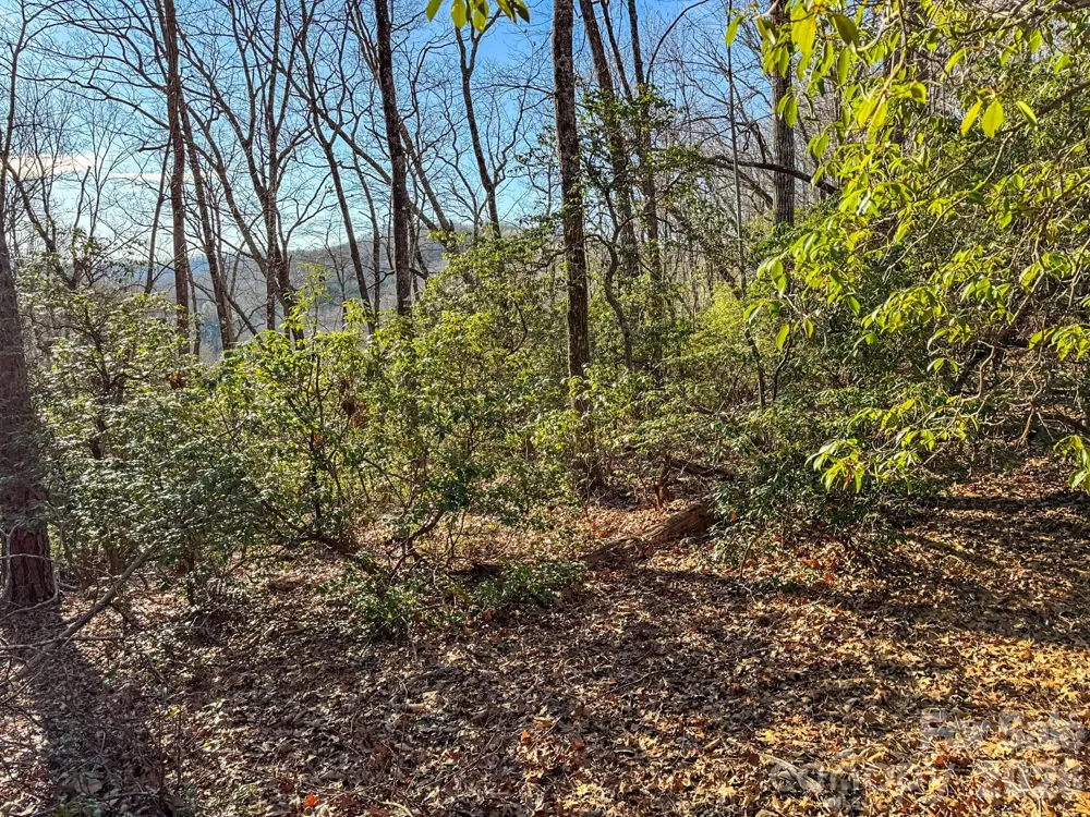 1647 Mills River Way Horse Shoe, NC 28742