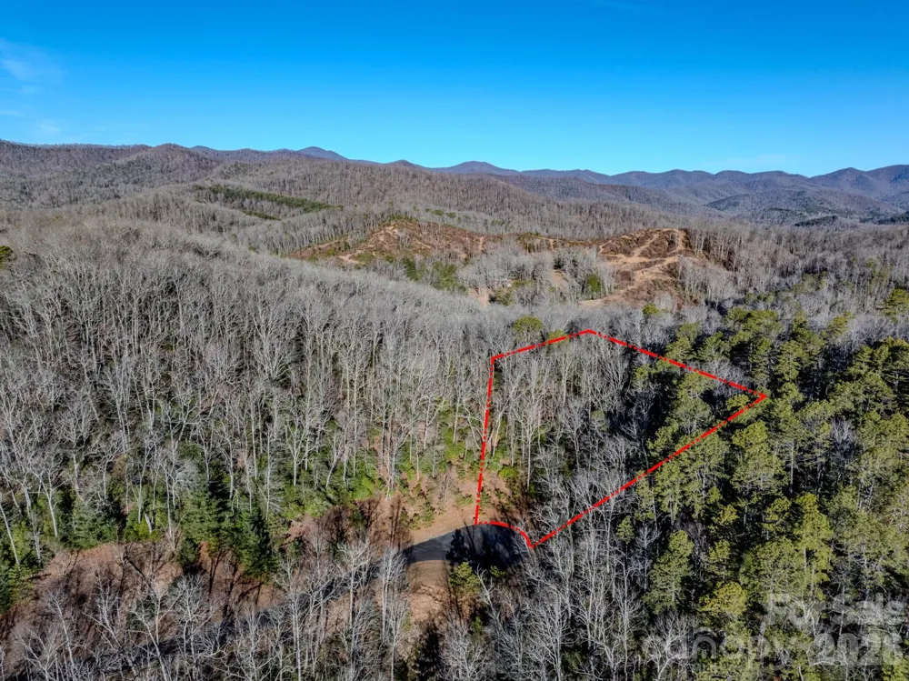 1647 Mills River Way Horse Shoe, NC 28742
