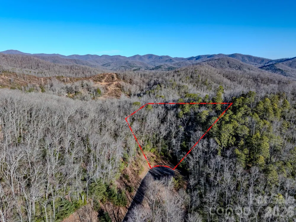 1647 Mills River Way Horse Shoe, NC 28742