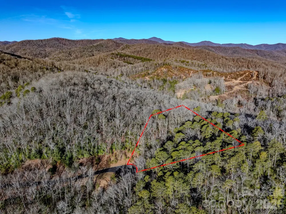 1647 Mills River Way Horse Shoe, NC 28742