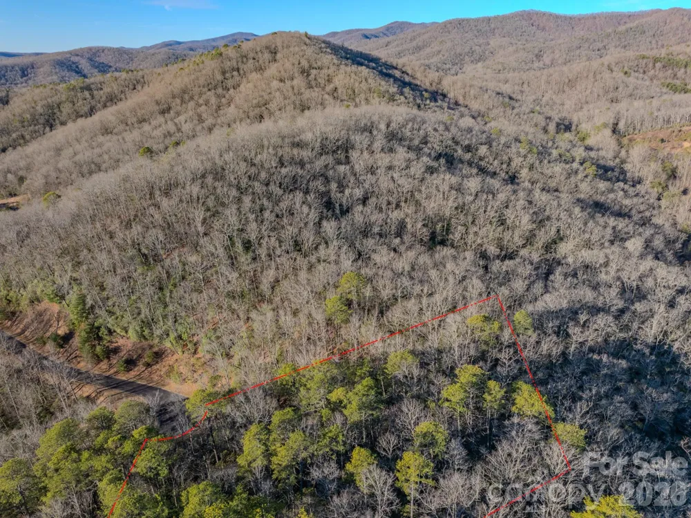 1647 Mills River Way Horse Shoe, NC 28742