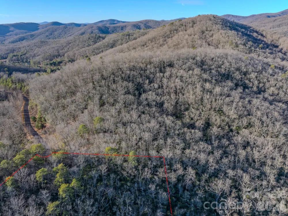 1647 Mills River Way Horse Shoe, NC 28742