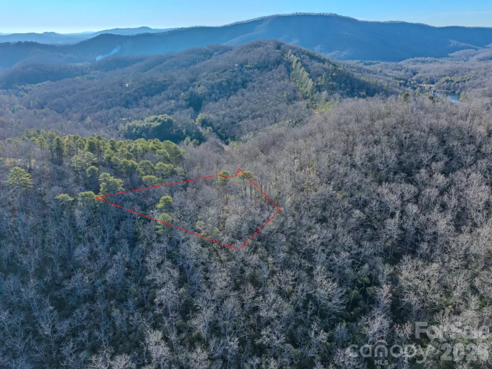1647 Mills River Way Horse Shoe, NC 28742