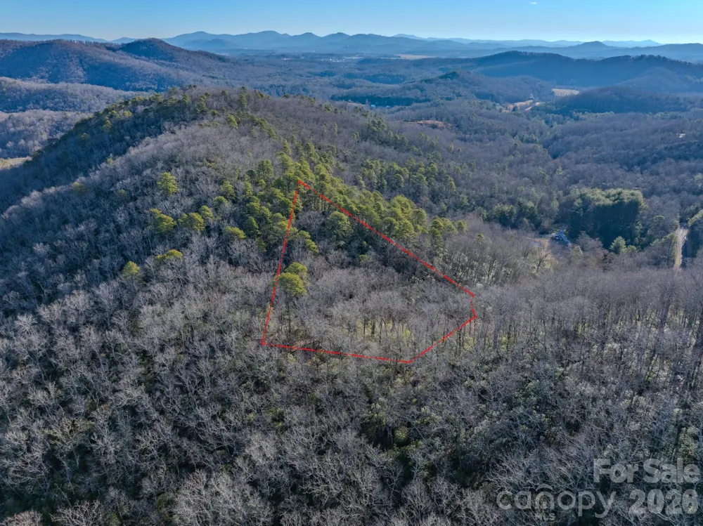 1647 Mills River Way Horse Shoe, NC 28742