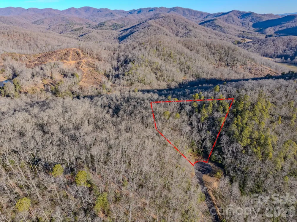 1647 Mills River Way Horse Shoe, NC 28742