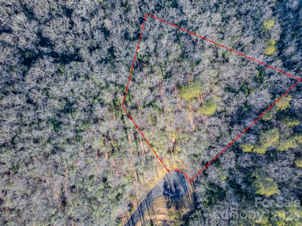 1647 Mills River Way Horse Shoe, NC 28742