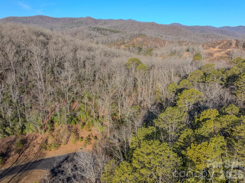 1647 Mills River Way Horse Shoe, NC 28742