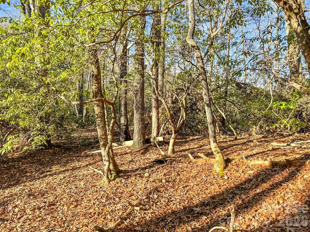 1647 Mills River Way Horse Shoe, NC 28742