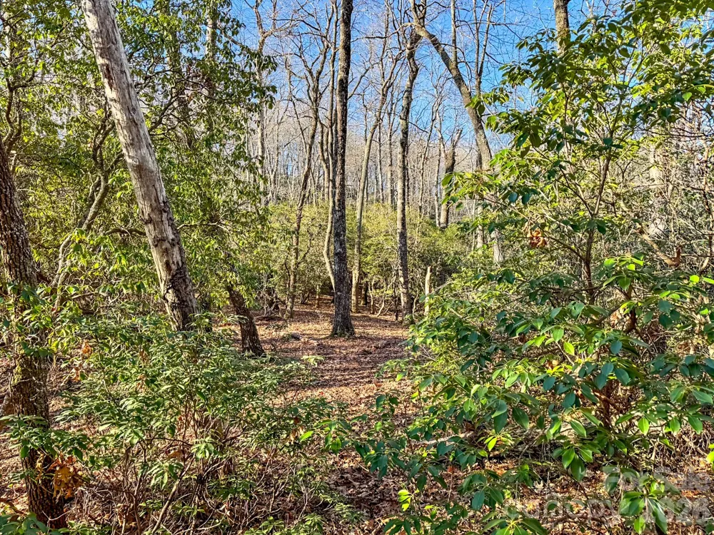 1647 Mills River Way Horse Shoe, NC 28742