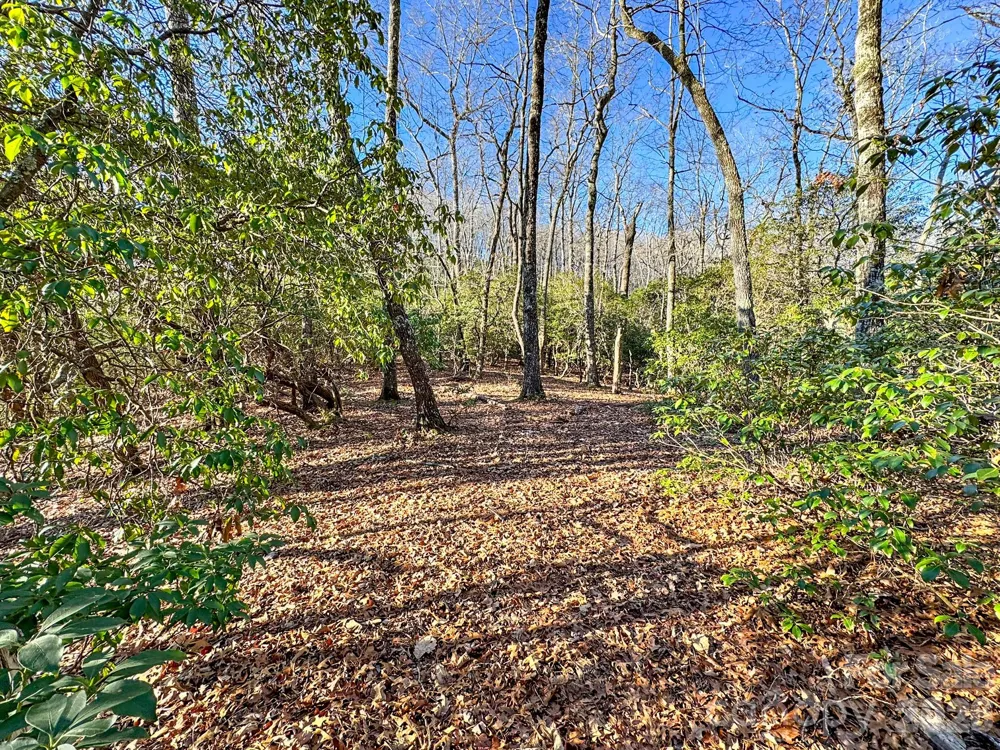 1647 Mills River Way Horse Shoe, NC 28742