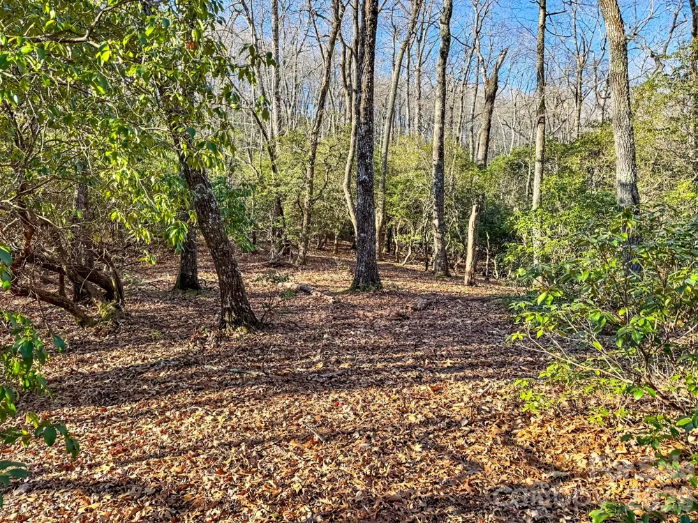 1647 Mills River Way Horse Shoe, NC 28742