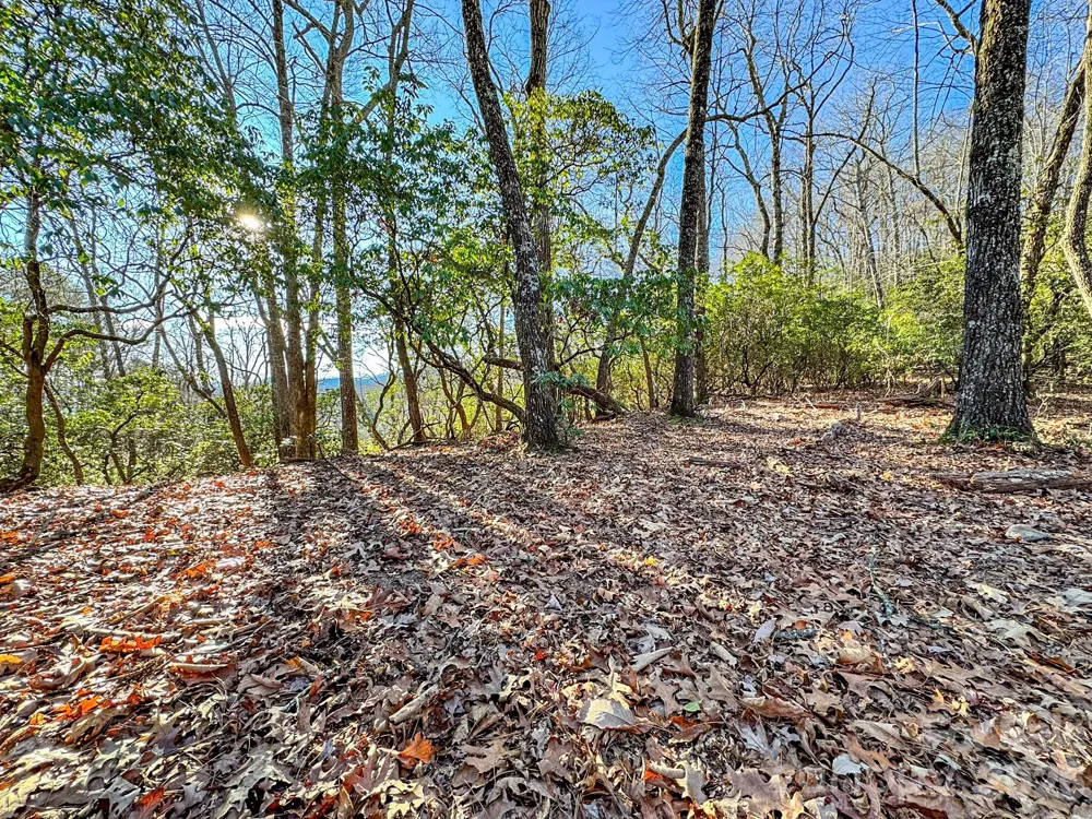 1647 Mills River Way Horse Shoe, NC 28742