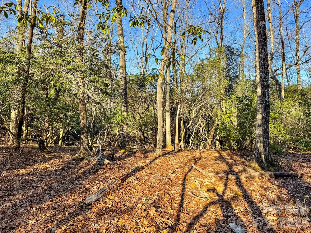 1647 Mills River Way Horse Shoe, NC 28742