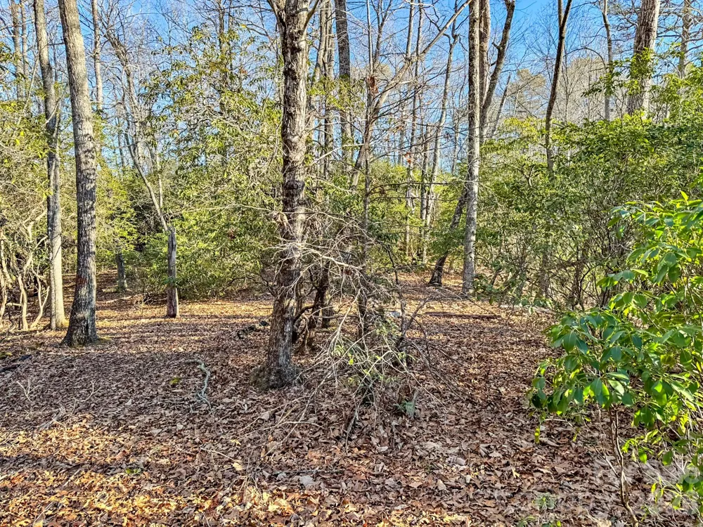 1647 Mills River Way Horse Shoe, NC 28742